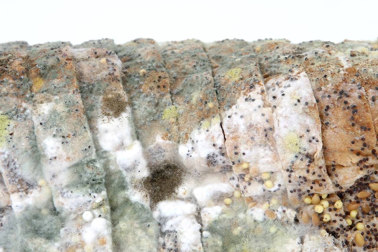 How Social Media Affects Body Image and Self-Esteem