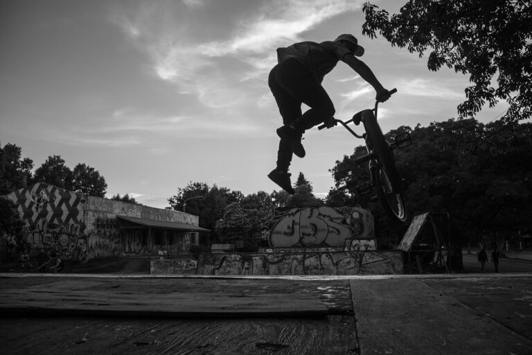 Planning and Designing Cricket Grounds for Maximum Efficiency